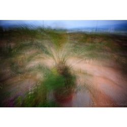 dailyPhoto14